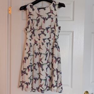 Only Cream Dress with Hummingbirds Bird Print